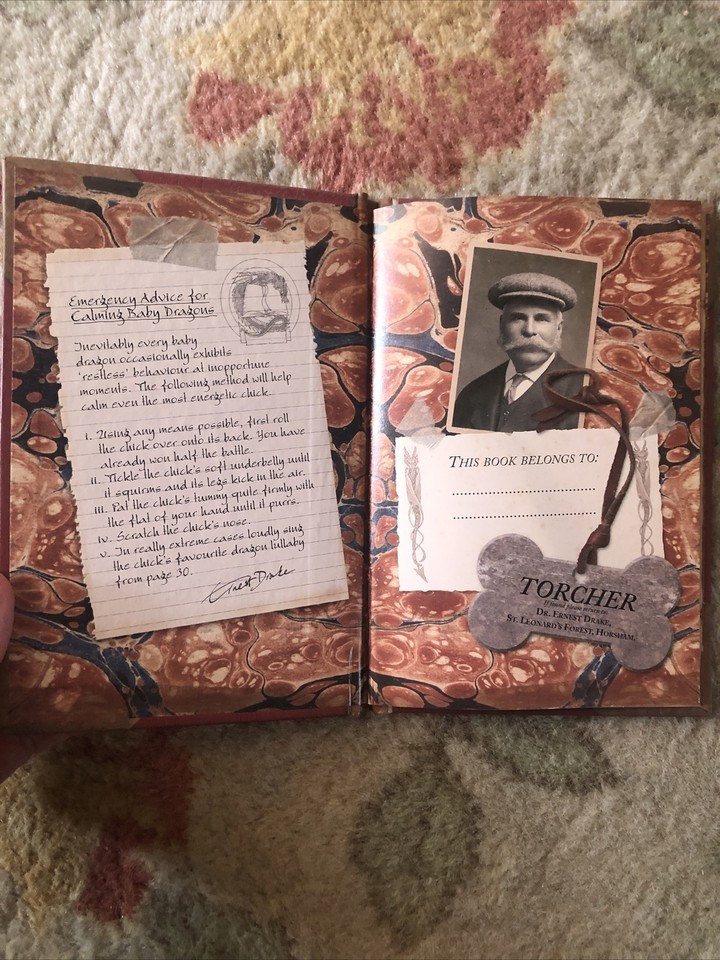 Bringing Up Baby Dragons by Dugald Steer (Hardcover, 2006) Charity Sale