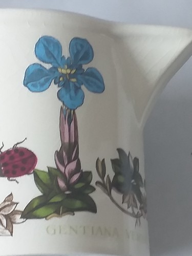 Taza de jardín botánico Portmeirion + platillo, jarra o azucarero - varios tamaños elige 1 - Imagen 54 de 68