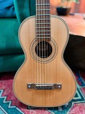Vintage Viator Paul Brett Vtr800pb Parlour Guitar W/ Gigbag