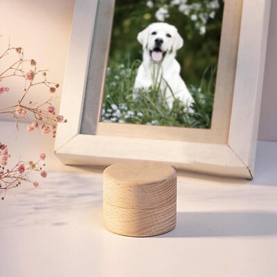 Ataúd De Madera Maciza Del árbol De La Vida, Urna Para Cenizas Funerarias Humanas Para Adultos, Urna De Cremación Para Adultos, Urna Personalizada, Urna De Mariposa (árbol De La Vida