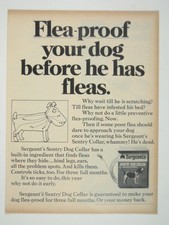 Flea Proof Your Dog Before He Has Fleas Serge...