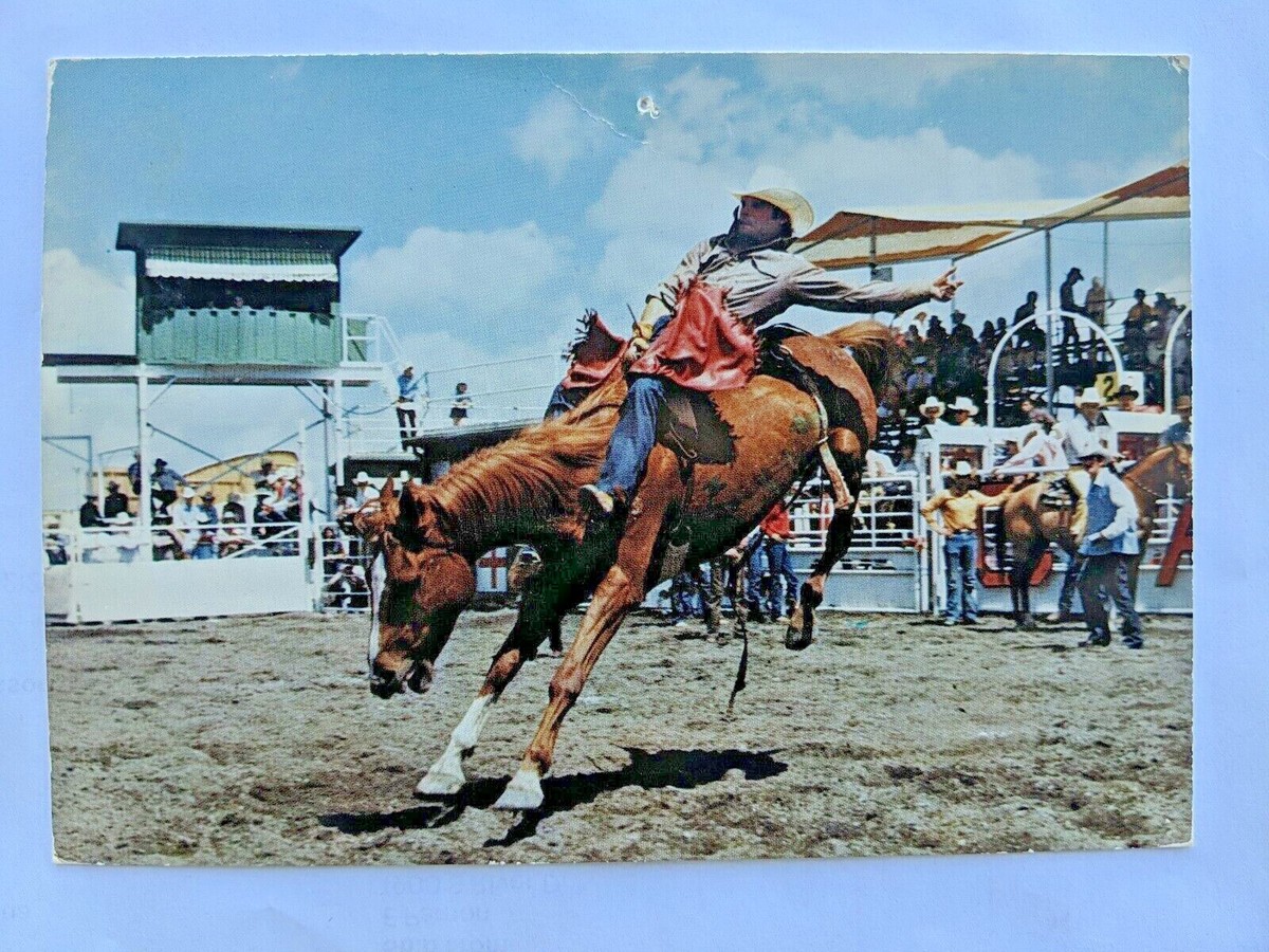 1986 Calgary Stampede Canada Bareback riding Cowboy Traveltime