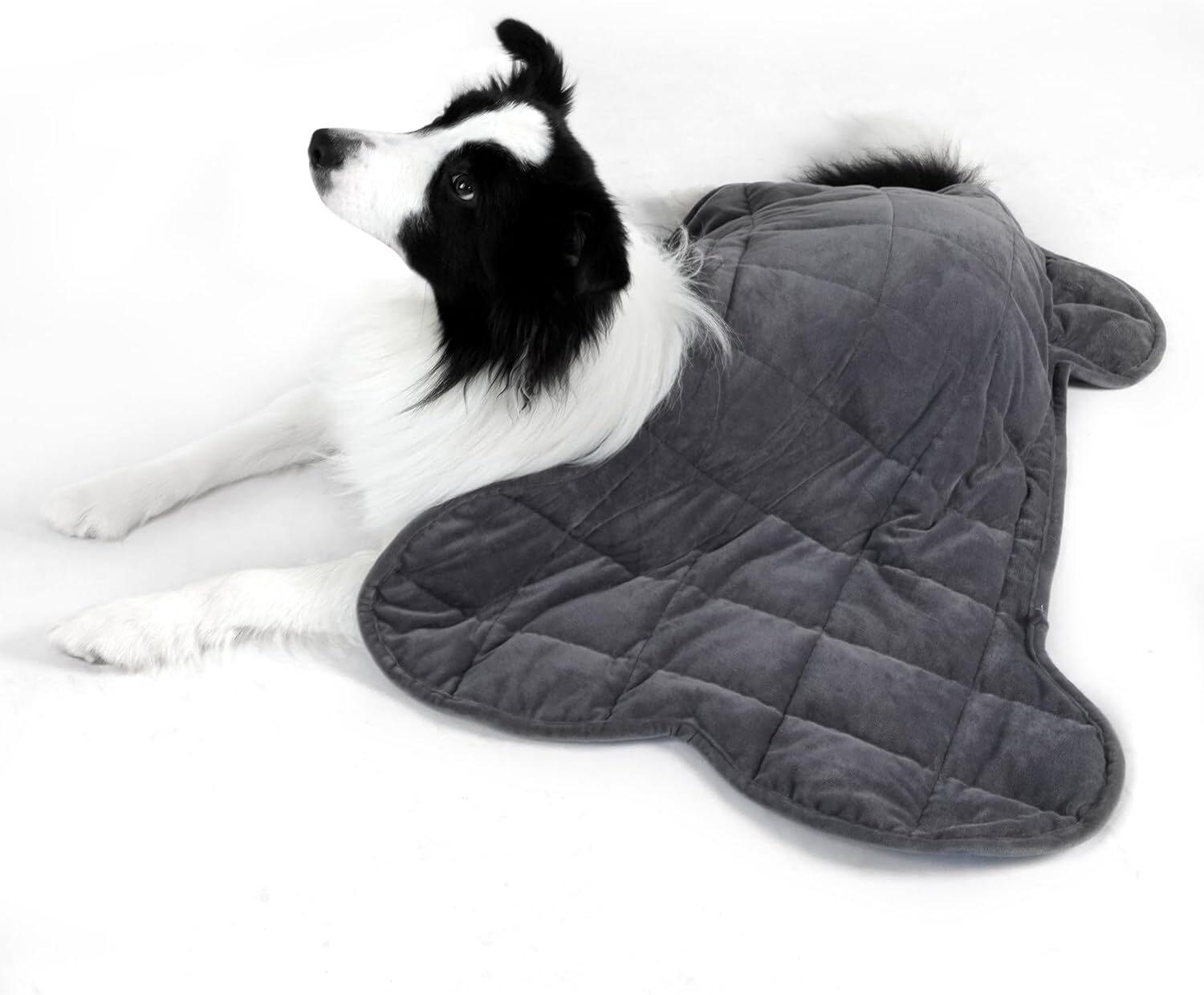 YUSRA Weighted Blanket for Dogs 5 Lbs, Small Dog Full, Grey-image