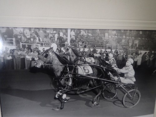 Vtg Harness Horse Racing 1959 Matted B&W Photo Lady Mert &Joe Marsh Jr. - Picture 2 of 9