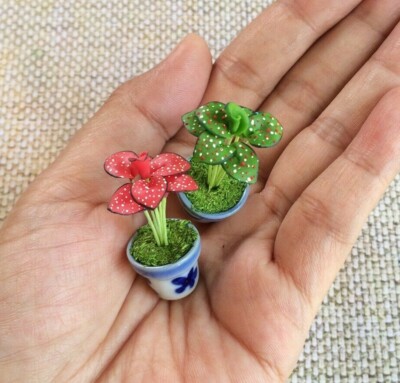 Red Green Caladium Monstera Plant in Ceramic Pot Dollhouse Miniature Decor  Gift | eBay