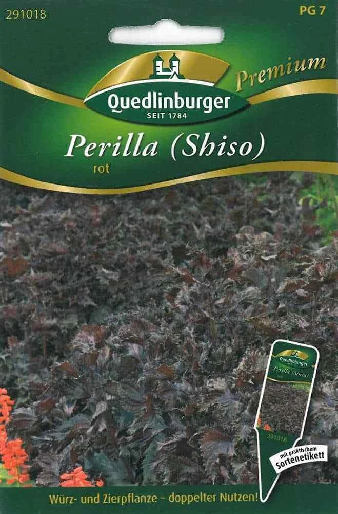 Perilla Samen online kaufen | eBay.de