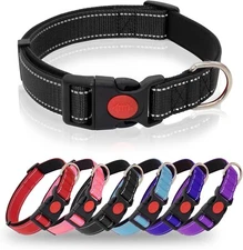 Reflective Dog Collar, Heavy Duty Adjustable with Safety Locking Buckle