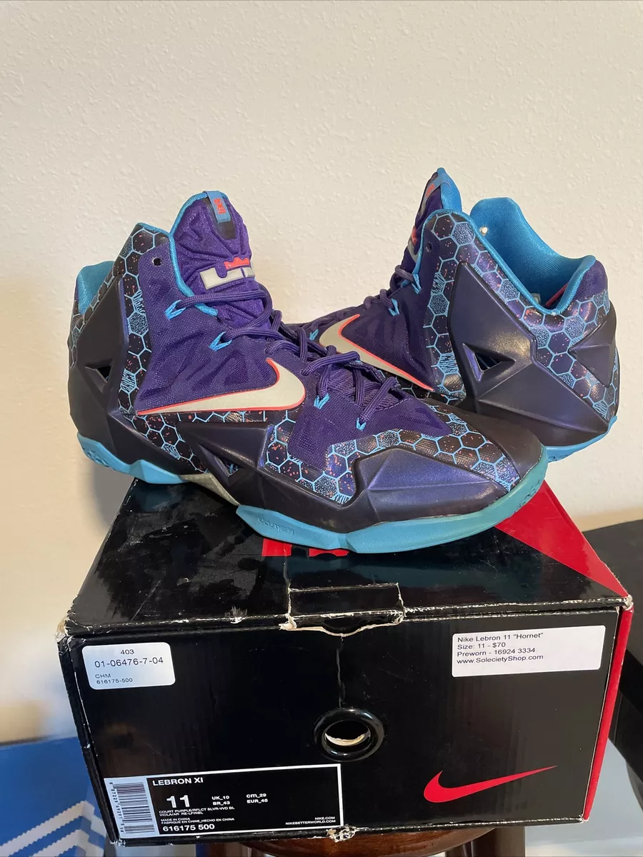 Nike lebron cheap 11 hornets