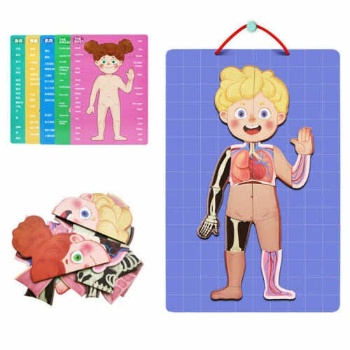 Unbranded 26 - 99 Pieces Jigsaw Puzzles