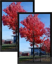 8X10 Picture Frame Set of 2,9X12 Picture Frame Black, Diploma Certificate Frame,