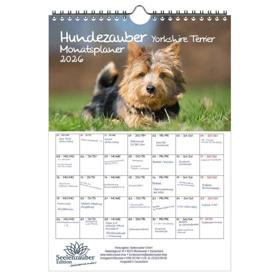SEELENZAUBER GMBH Hundezauber Yorkshire Terrier Planer DIN A4 Kalender für 2026 Welpen und Hunde -