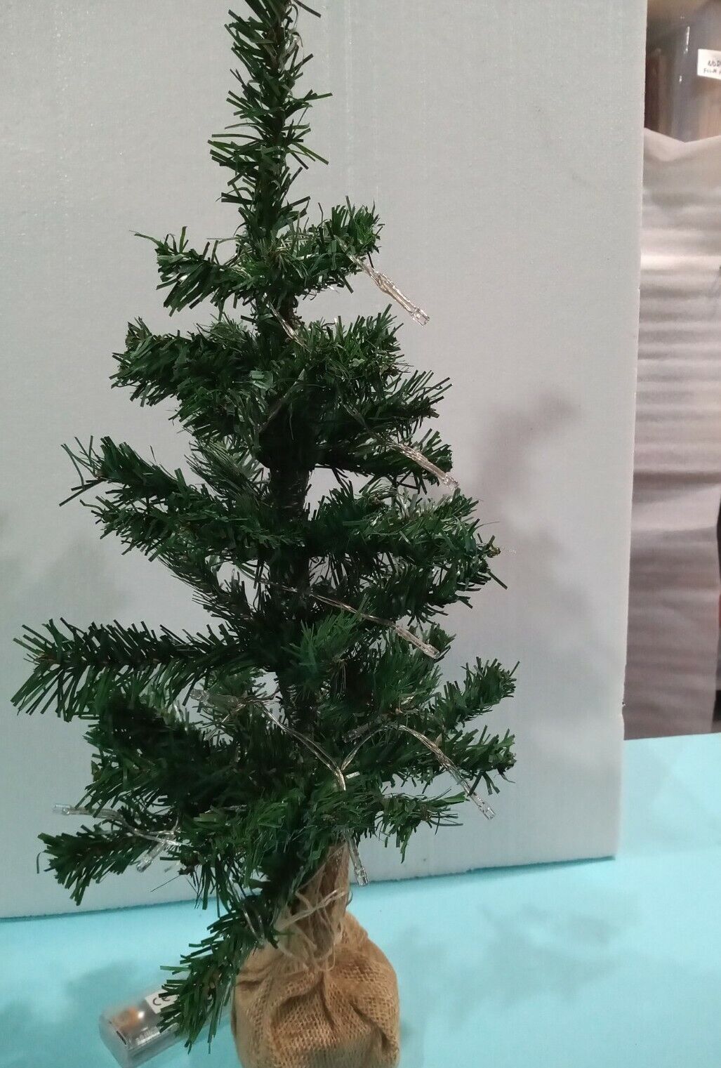 Picture 6 of 6