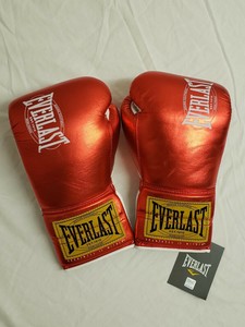 everlast fight