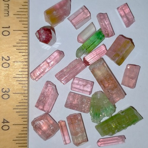 Tourmaline Elbaite Rubellite rough gems uncut loose raw crystals bundle 40.4ct - Foto 3 di 6