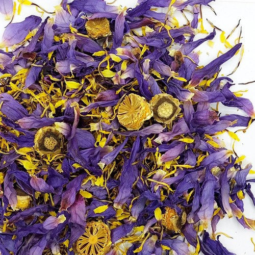 Organic Nymphaea Caerulea Dried Blue Lotus Cut Flower Natural Pure Sleep Stress - Picture 2 of 4
