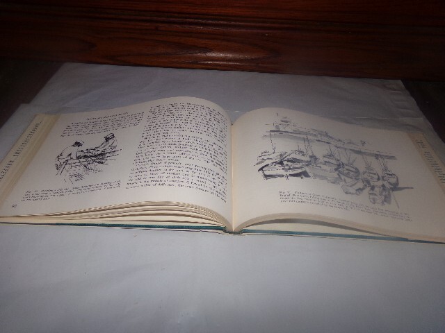 Picture 15 of 15