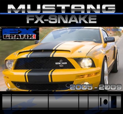 Ford Mustang Exclusive 21'' GT 500 Super Snake Style Stripe Kit Dealer Quality
