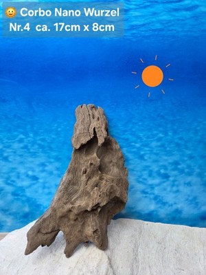  Corbo Root Nano  Aquarium Traum Wurzel Naturwurzel Terrarium Hardscape Dek
