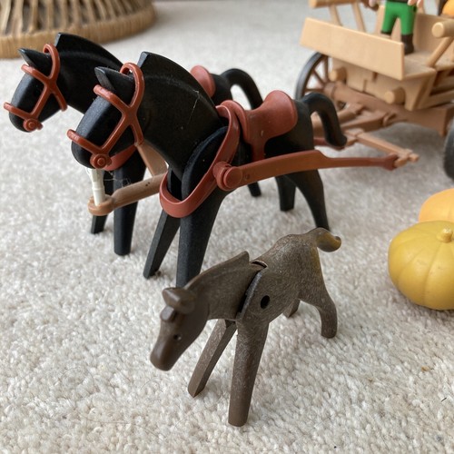 Carro de Caballo y Calabaza de Granjero Playmobil 3735 de Colección Raro con Conejos y Pollos - Imagen 10 de 13