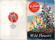 TRADE CARDS – WILD FLOWERS COLLECTORS CARDS AND ALBUM TYPHOO TEA COMPLETE