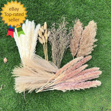 100Pcs Pampas Grass Boho Home Decor 17 Inch Natural Dried Flowers-Pampas