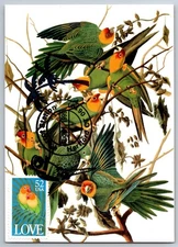 #2537 Love Birds Maxi Card w/w/Pictorial Parrot Station Cancel