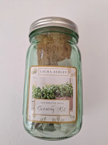 Laura Ashley Decorative basil Growing Kit Countertop kitchen Garden Spring