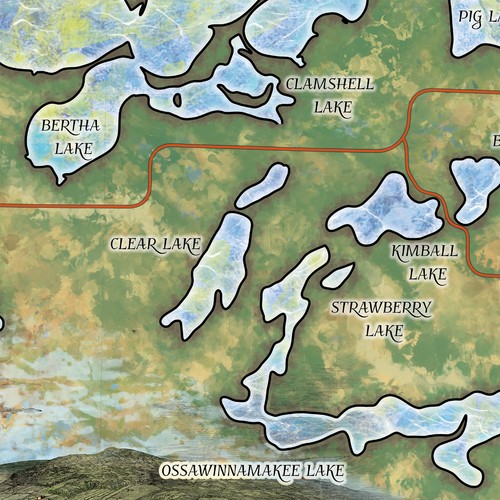 Whitefish Cadena de Lagos Minnesota Mapa Arte Impresión Póster Vintage Pared Hogar Decoración - Imagen 5 de 48