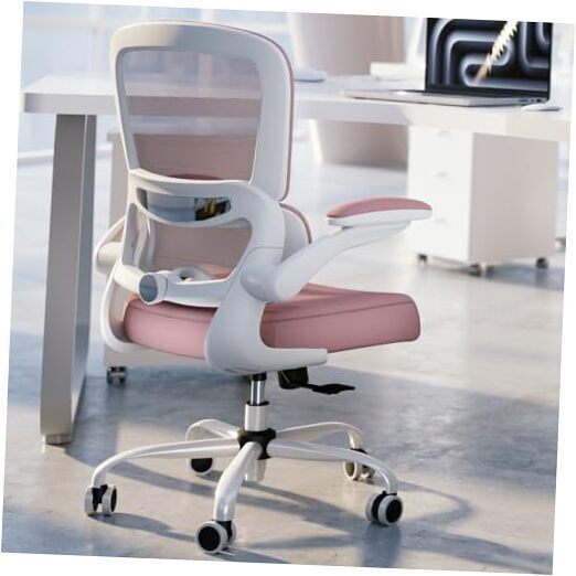Office Chair - Ergonomic Desk Chair with Adjustable Lumbar Support, Mesh Pink