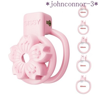 2024 New Male Small Ring CB Lock Sissy Upgraded Chastity Devices Chastity Cage