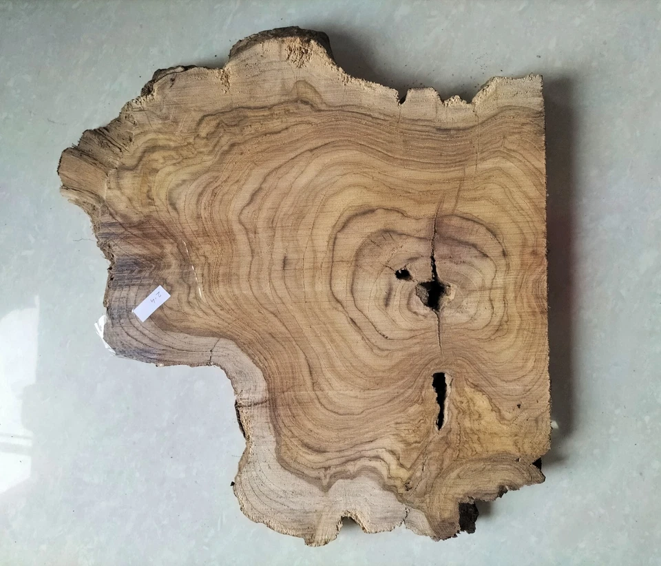 live edge slice of indian teak wood burl wood with high grains for casting craft - Image 2 of 4
