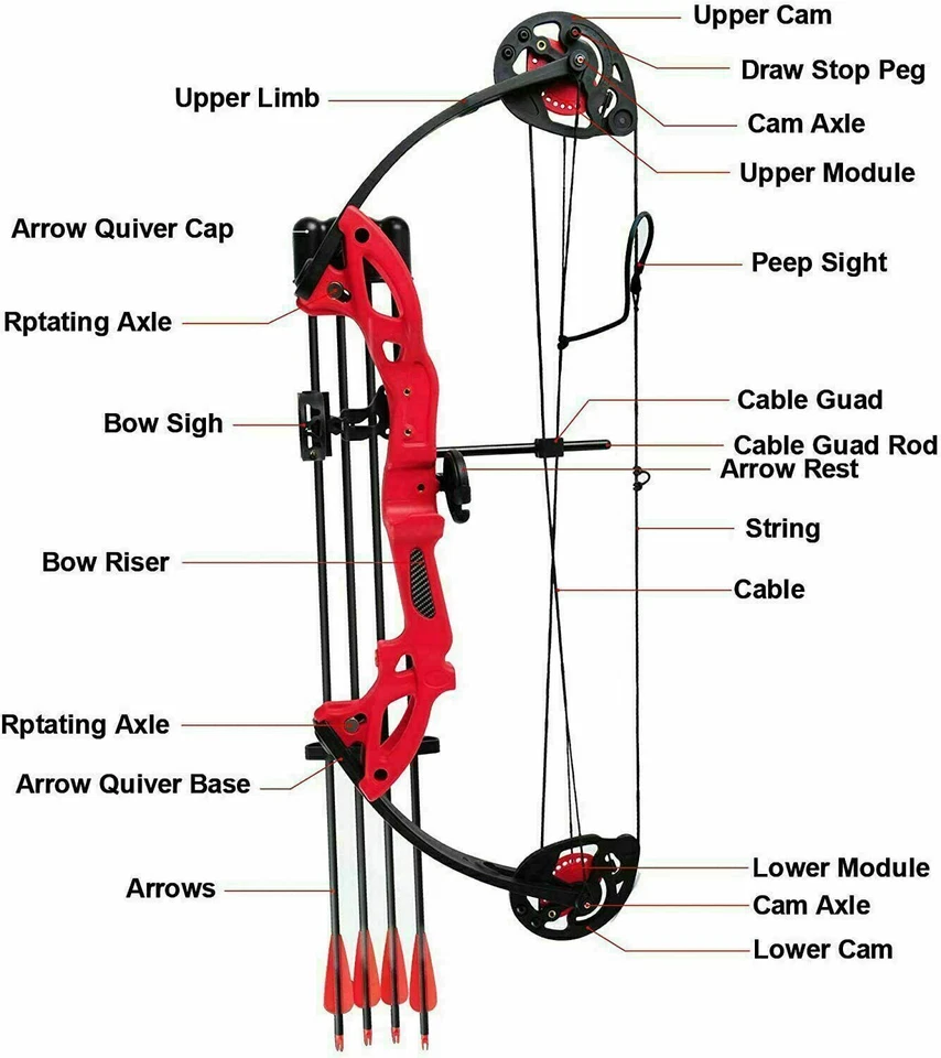 Conjunto de arco composto 15-29 lb flechas equipamento de caça e flecha para jovens e adultos - Imagem 3 de 4