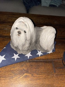 Shih Tzu Maltese Sandicast Dog Figure Sculpture Signed Grey White 1986 Brue