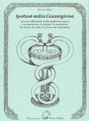 Davide Melzi Ipotesi sulla guarigione. Ovvero riflessioni sulla medic (Hardback)