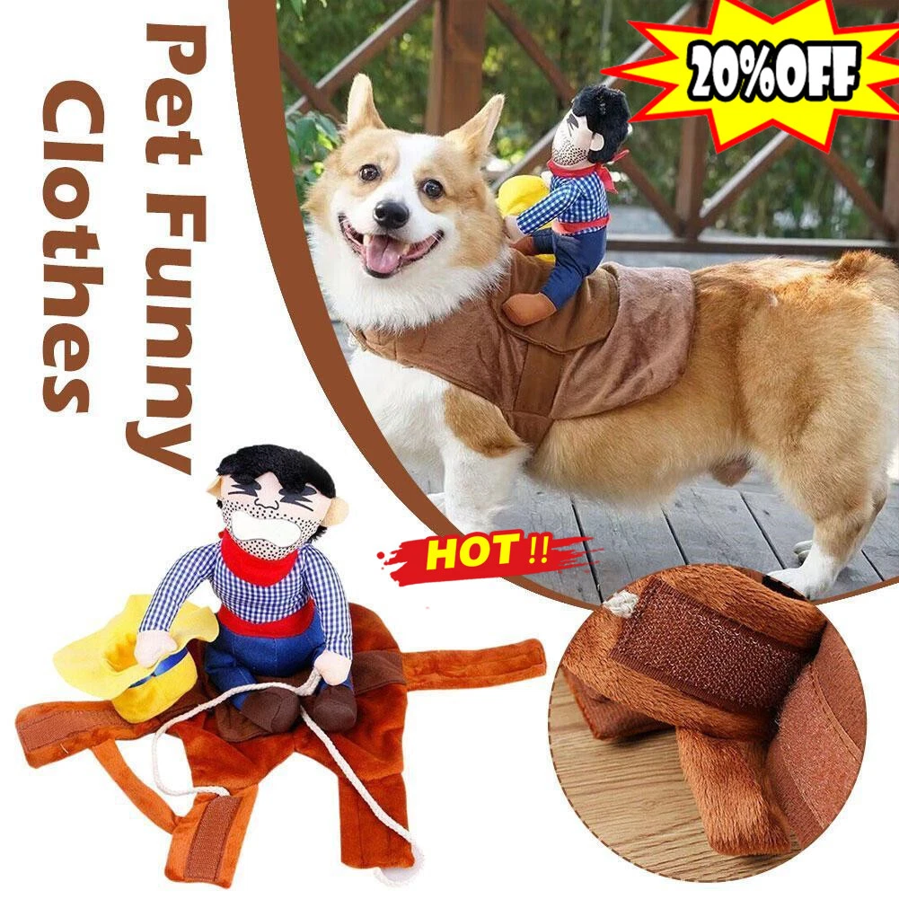 Puppy outfits best sale uk