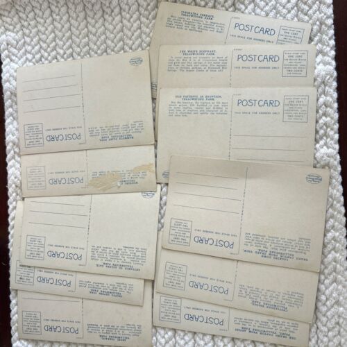 A set of 11 vintage Yellowstone Park postcards beautiful artwork - Picture 2 of 2