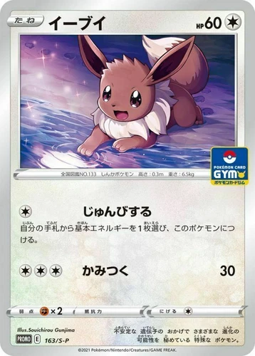 Eevee 163/S-P GYM PROMO Pokemon Card Japanese