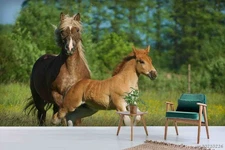 3D Forest Trees Horses Self-adhesive Removeable Wallpaper Wall Mural