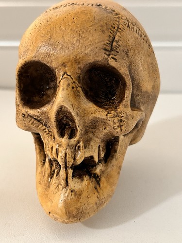 VINTAGE RANDOTTI # 829 MEDIUM SKULL STILL GLOWS IN THE DARK WHEN EXPOSED TO LIGH