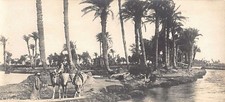 Egypt - Egyptian types and scenes - Egyptian landscape - SIZE 14 cm. X 6 cm. - P