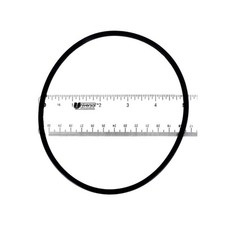 ASTRAL PRODUCTS 713R1329045 O-Ring Chlorinator Lid Pre-06/03 1/2" NPT