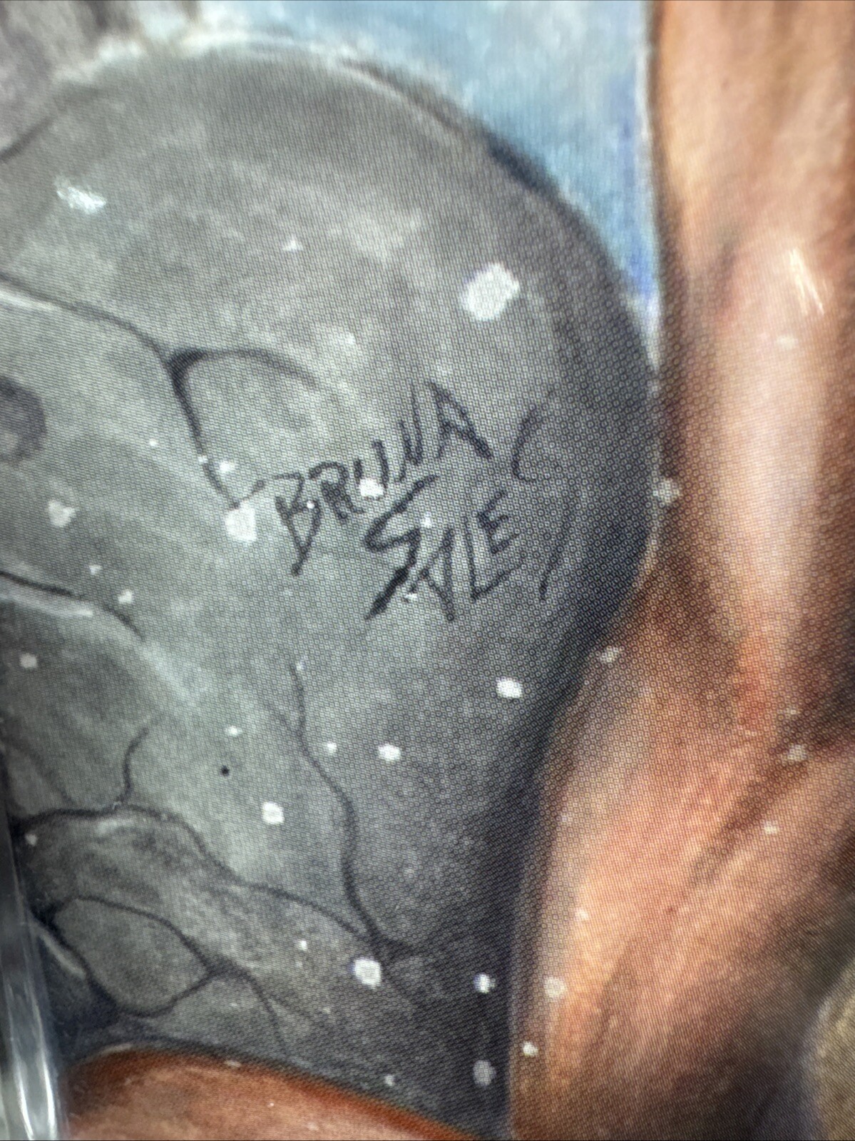 Picture 9 of 9