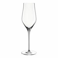 Leonardo Champagnerglas Brunelli, Schaumweinglas, Kristallglas, Klar, 340 Ml