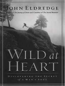 Wild at Heart: Discovering the Secret of a Mans So... | Buch | Zustand sehr gut