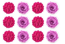 12 count Pink Roses Edible Image rounds OR 1 cake, Wafer paper, pre cut