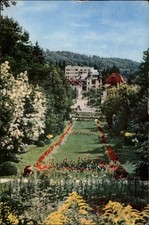 Govora Park Govora Romania vintage postcard a379