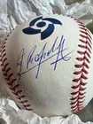 Randy Arozarena Signed Autographed Official Major League Baseball Beckett COA