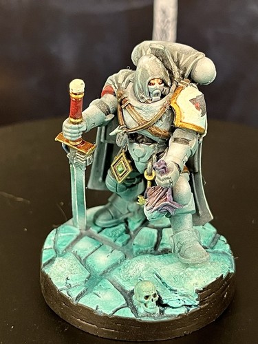 Warhammer 40k Army Space Marines Space Wolves 1x Pro Painted Captain | eBay