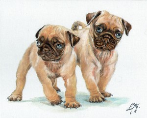 原始油画艺术肖像画八哥犬艺术家签名艺术品幼犬狗棕褐色 Ebay