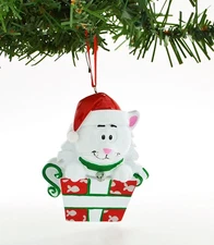 Pets Cat Kitten in Box White Personalized Christmas Tree Ornament